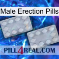 Male Erection Pills 17